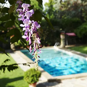 Hotel Park Palace